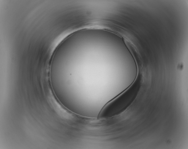 X0000112741484200909101504