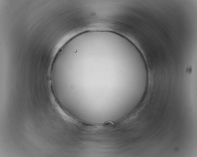 X0000112741485200909101503