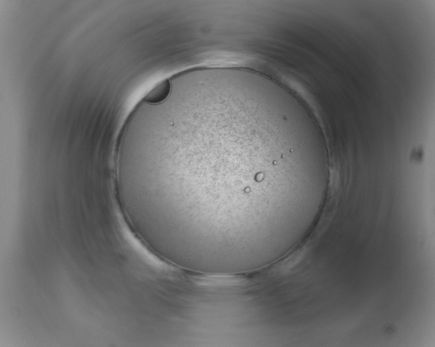 X0000112741487200909101503