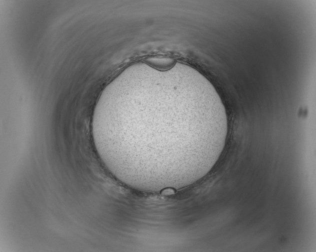 X0000112741489200909101503