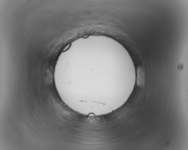 X0000112741491200909101503