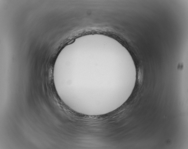 X0000112741492200909101503