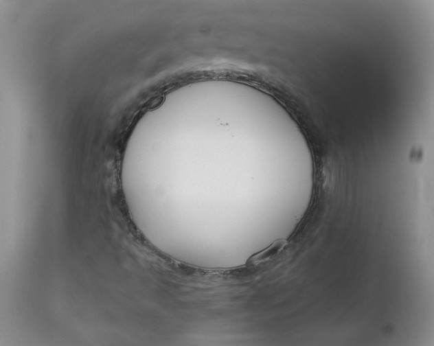 X0000112741493200909101503