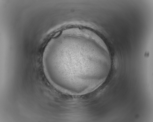 X0000112741494200909101503