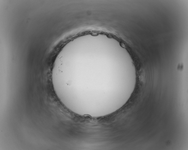 X0000112741495200909101503