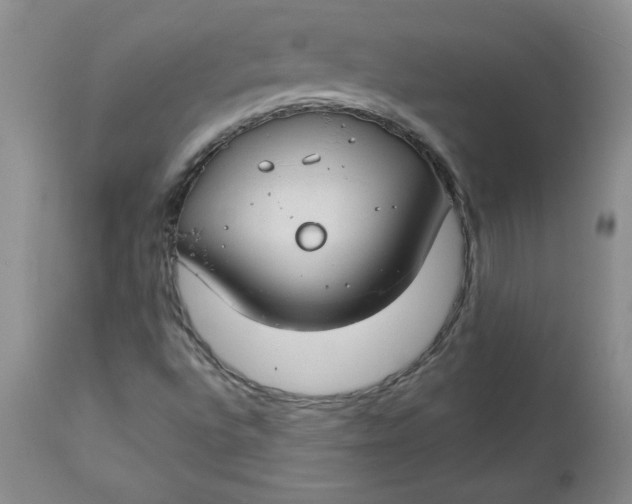 X0000112741496200909101503