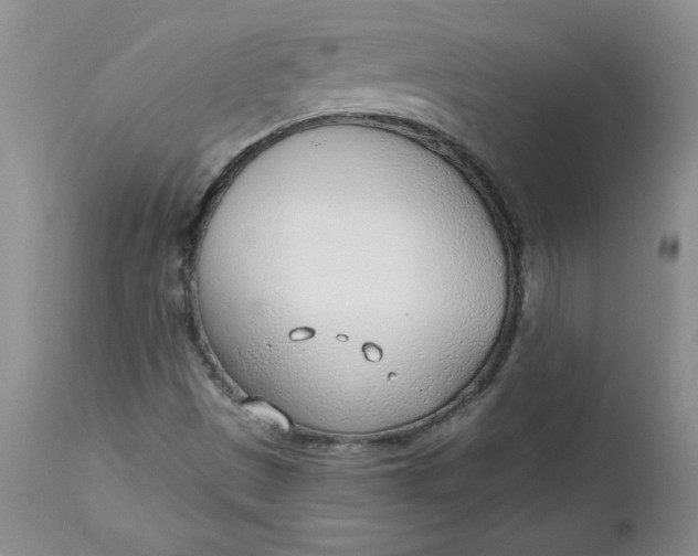 X0000112741497200909101503