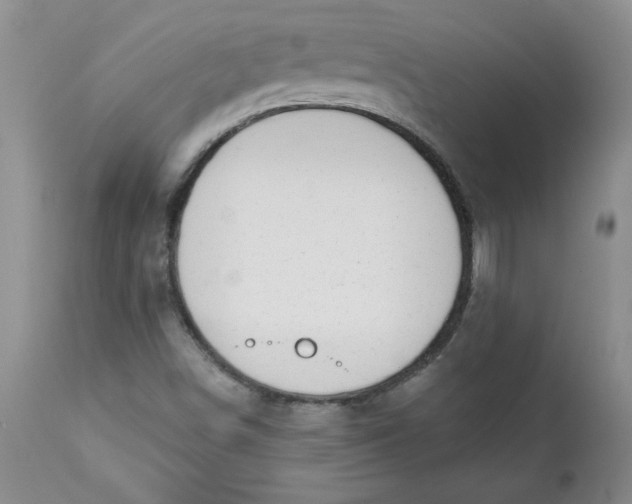 X0000112741498200909101503