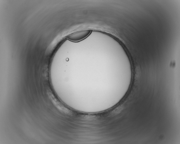 X0000112741499200909101503