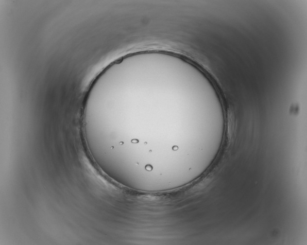 X0000112741500200909101503