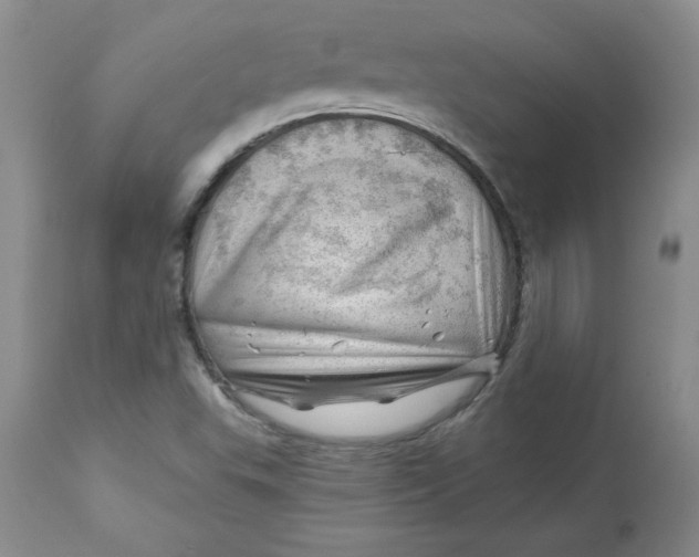 X0000112741503200909101503