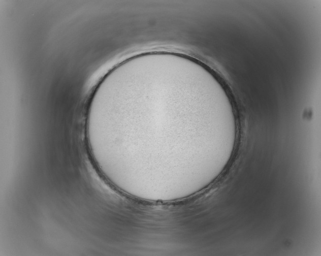 X0000112741504200909101503