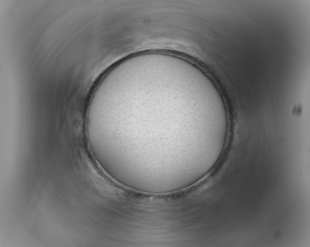 X0000112741505200909101503