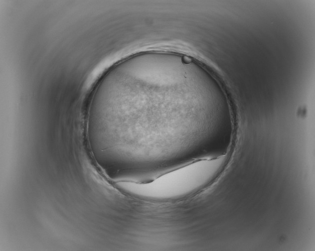 X0000112741506200909101503