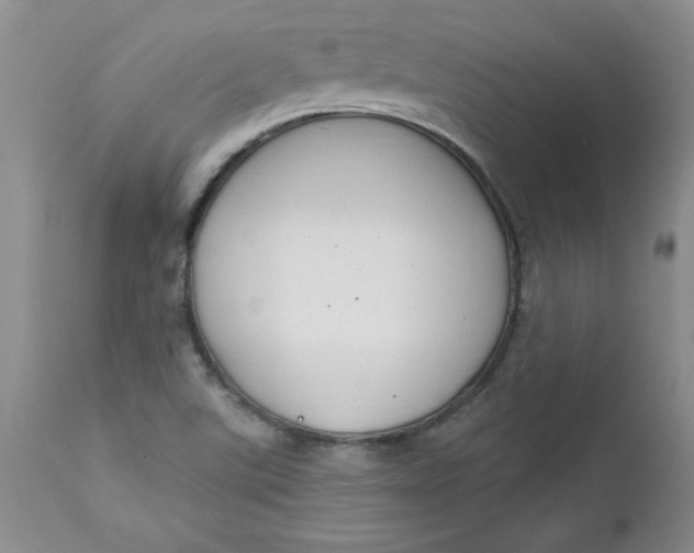 X0000112741507200909101503