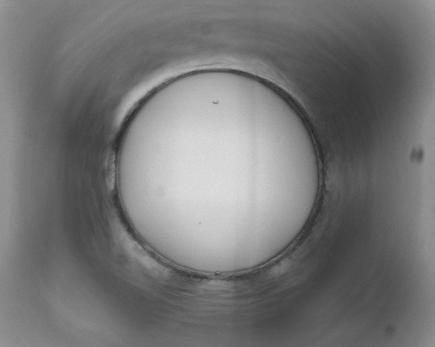 X0000112741510200909101503