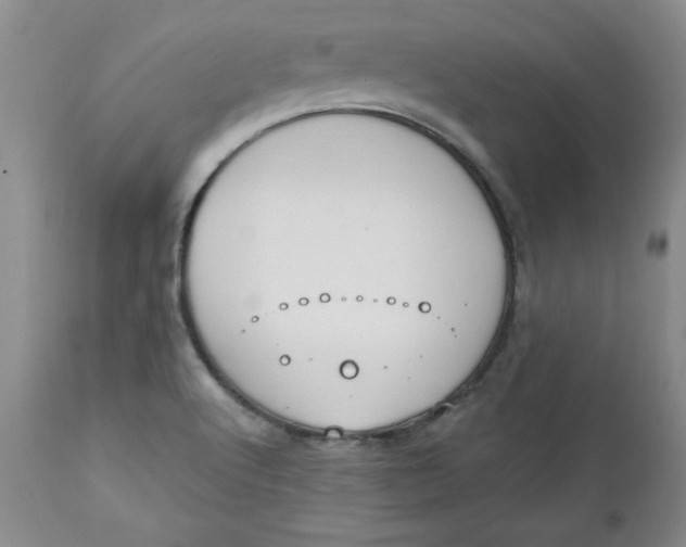 X0000112741512200909101503