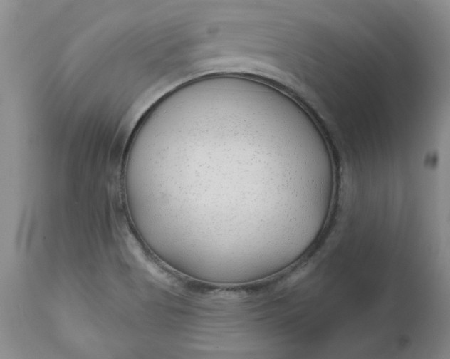 X0000112741513200909101503