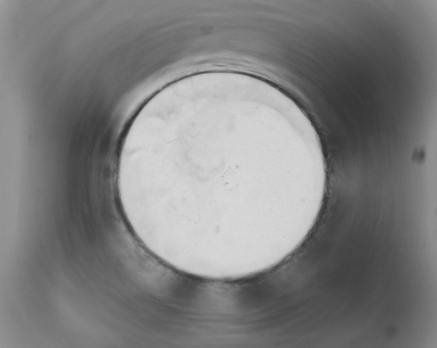 X0000112741514200909101503