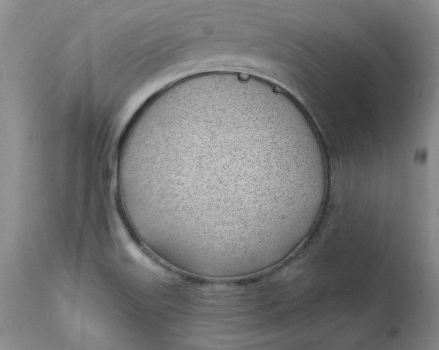 X0000112741515200909101503