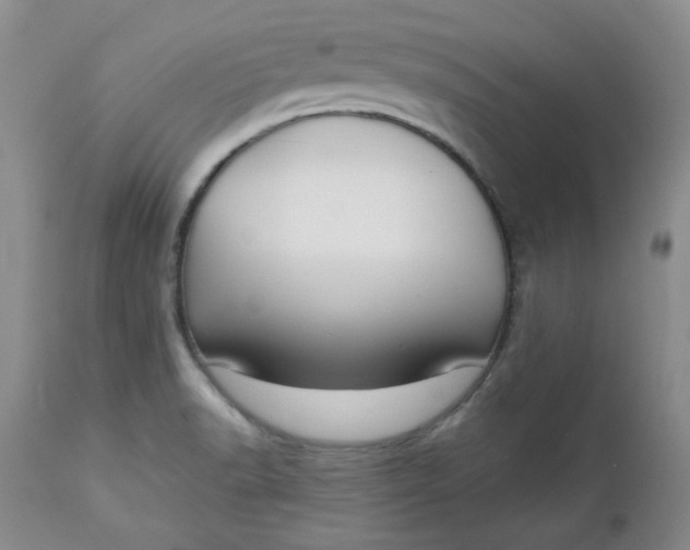 X0000112741518200909101503