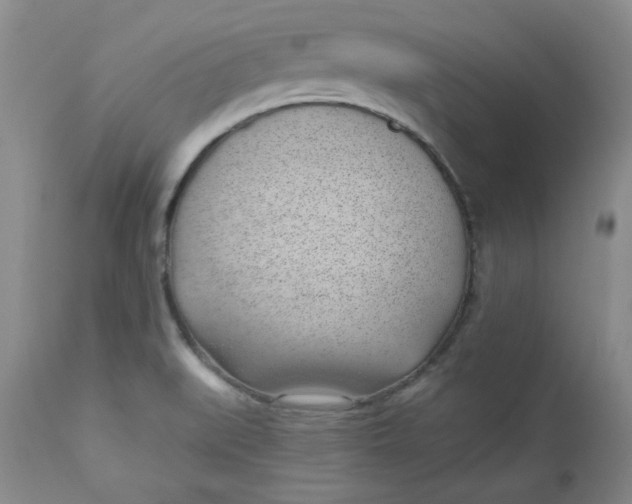 X0000112741519200909101503