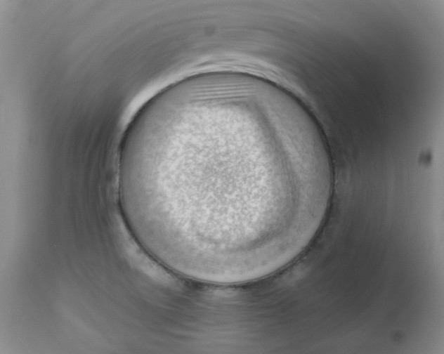 X0000112741522200909101503