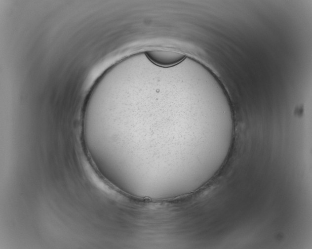 X0000112741523200909101503