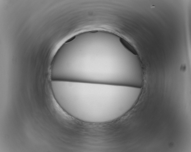 X0000112741524200909101503