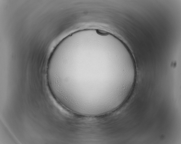 X0000112741525200909101503