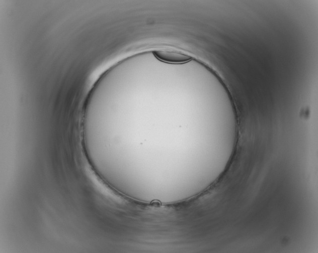 X0000112741526200909101503