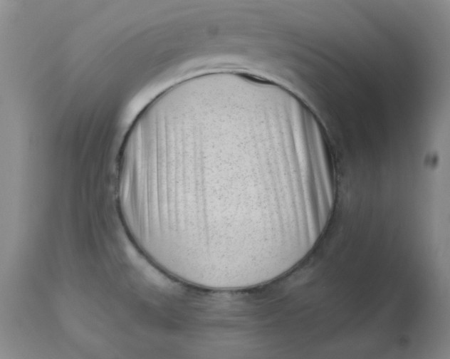 X0000112741527200909101503