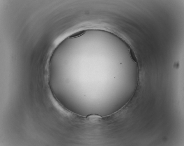 X0000112741528200909101503