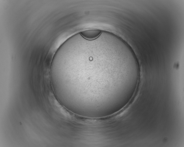 X0000112741529200909101503