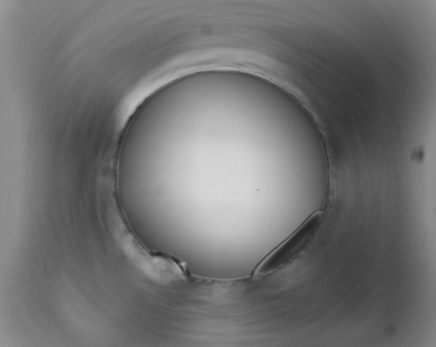 X0000112741530200909101503