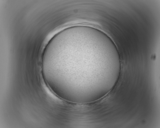 X0000112741531200909101503