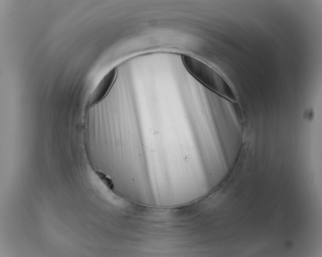 X0000112741532200909101503