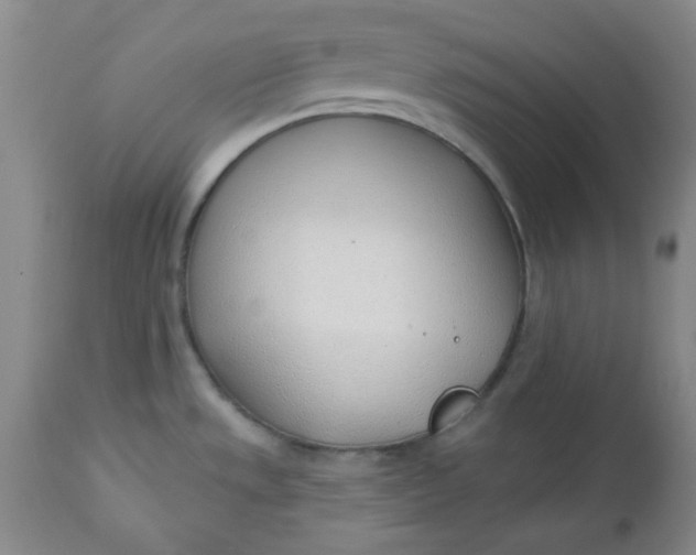 X0000112741533200909101503