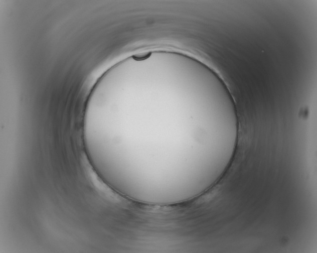 X0000112741534200909101503