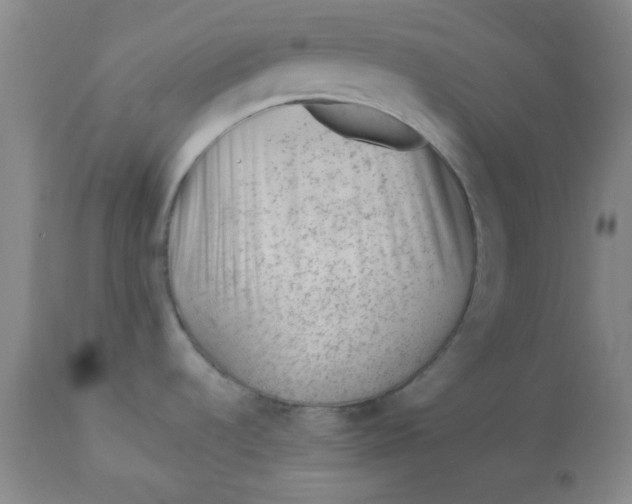 X0000112741536200909101503