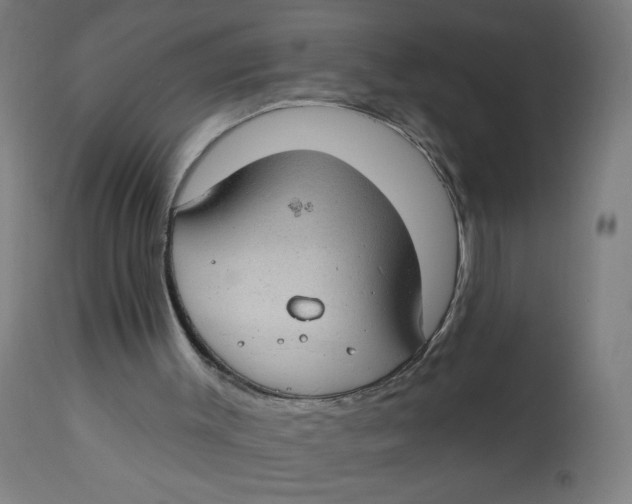 X0000112740003200909171213