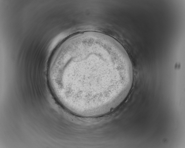 X0000112740006200909171213