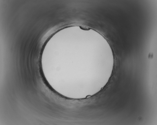 X0000112740007200909171213