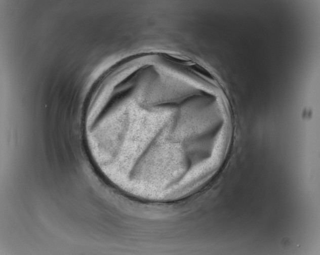 X0000112740008200909171213