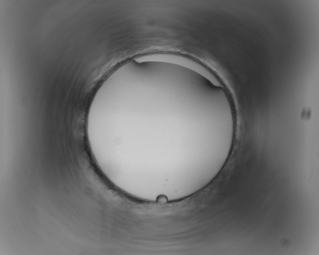 X0000112740009200909171213