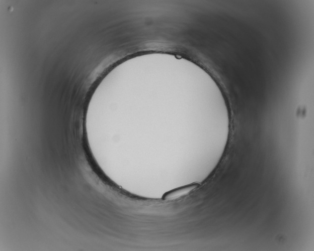 X0000112740011200909171213