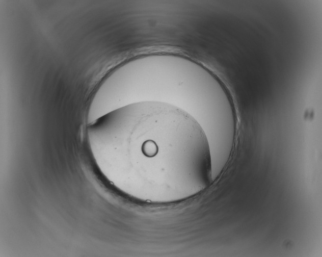 X0000112740013200909171213