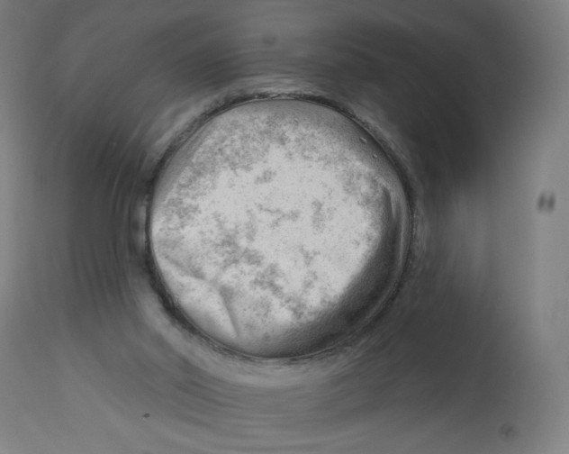 X0000112740014200909171213