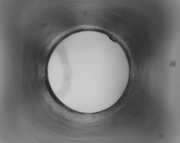 X0000112740015200909171213