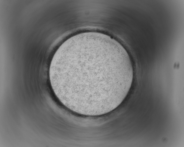 X0000112740016200909171213